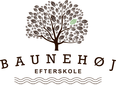 Baunehøj