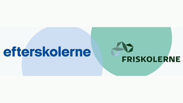 Frivillighedsalliancen, Efterskolerne og Friskolerne