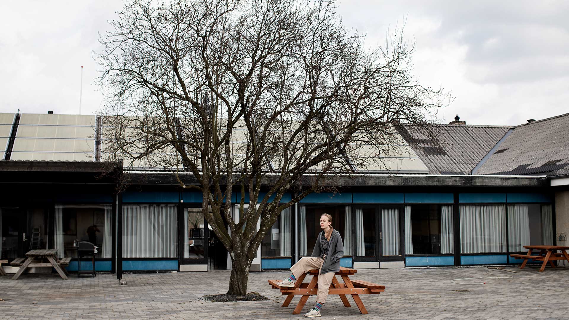 Koensidentitet_efterskoler_Arya_TorBirkTrads