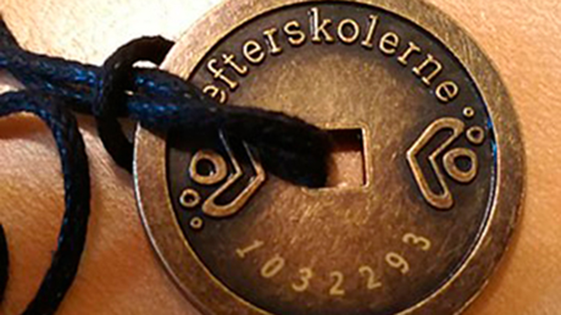 Læs mere...