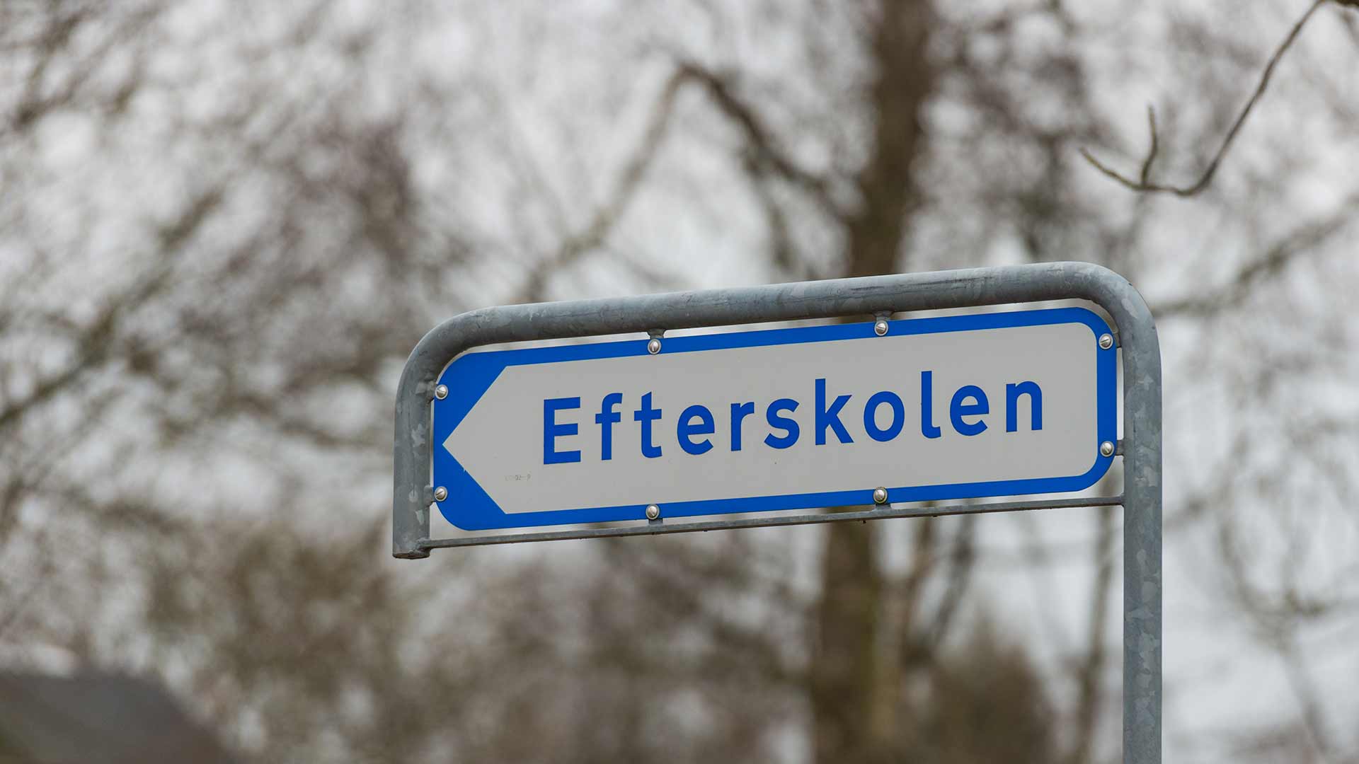 Læs mere...