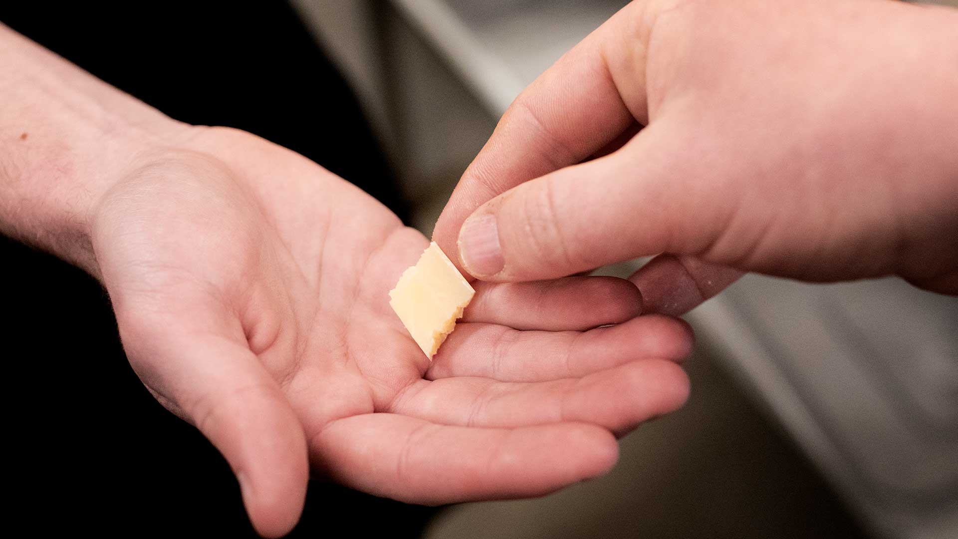 Koekkentjansen Frydensberg Efterskole. Foto: Tor Birk Trads