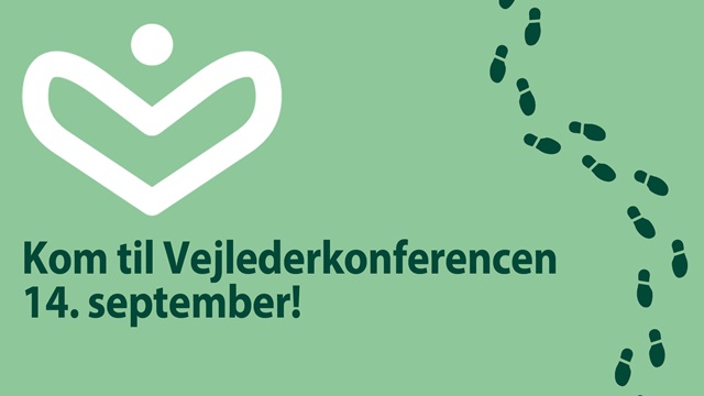 Vejlederkonference