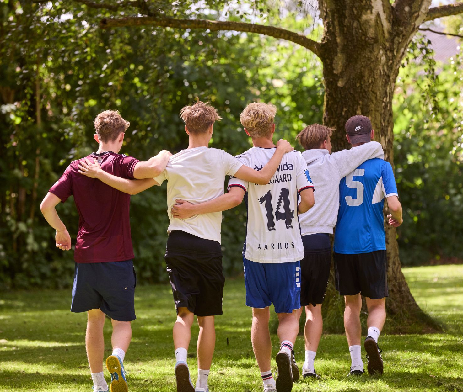 Almbrand Forsidemodul