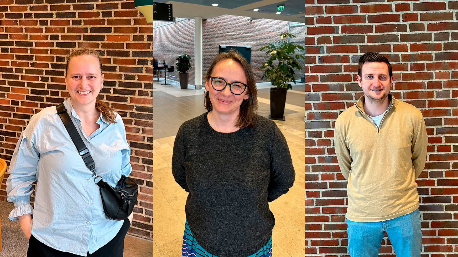 Tremedlemmeromaarsmoede