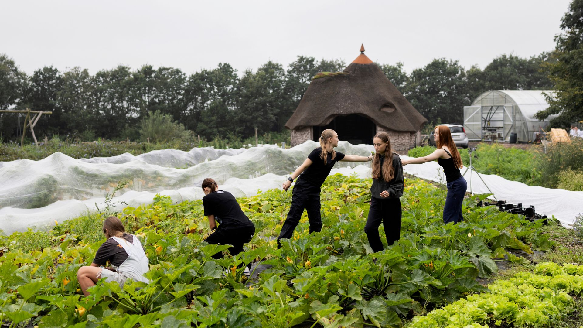 Baeredygtighed Himmerlands2