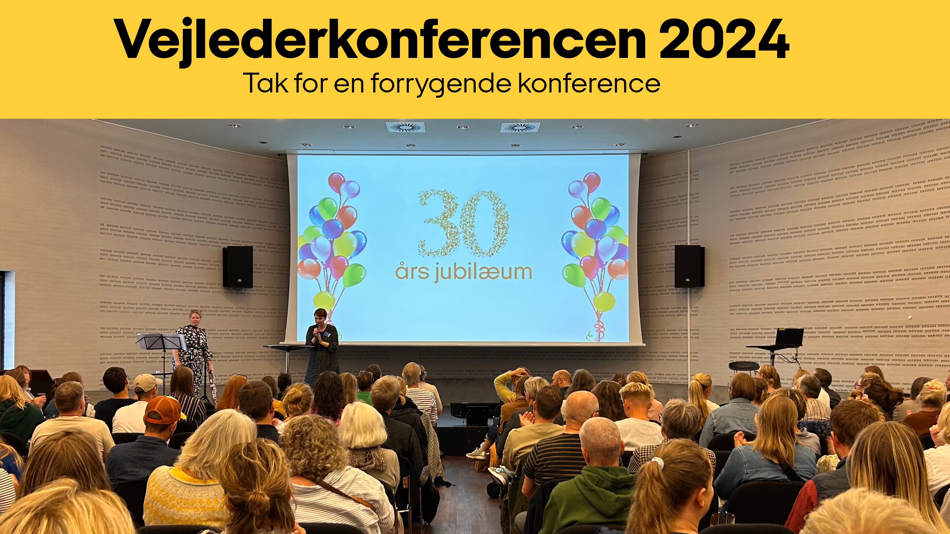 Billede Vejledernyhedsbrev Efter Vejlederkonf