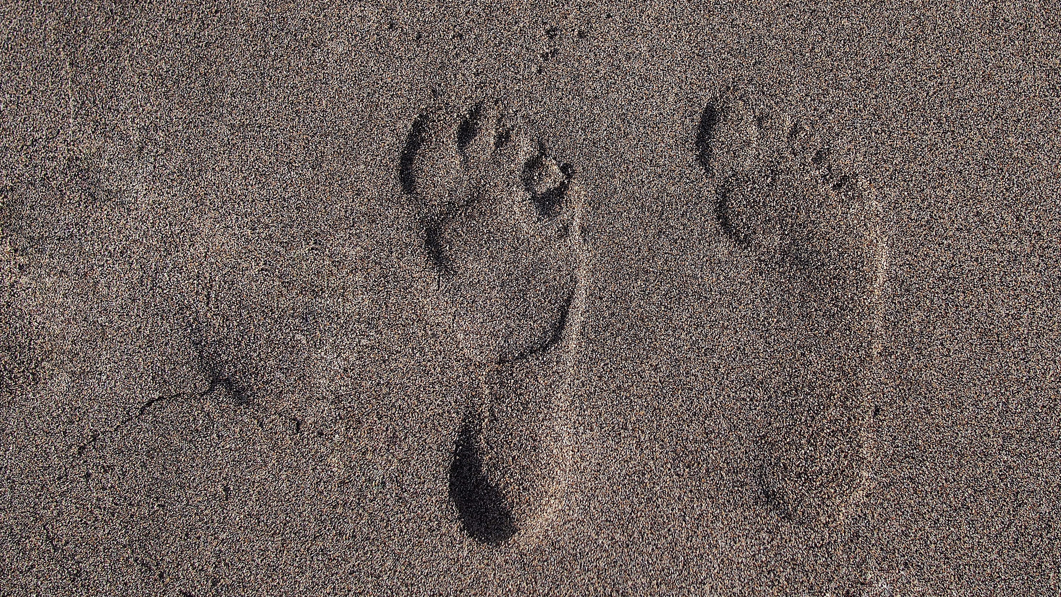 COLOURBOX948104216 9 (1)