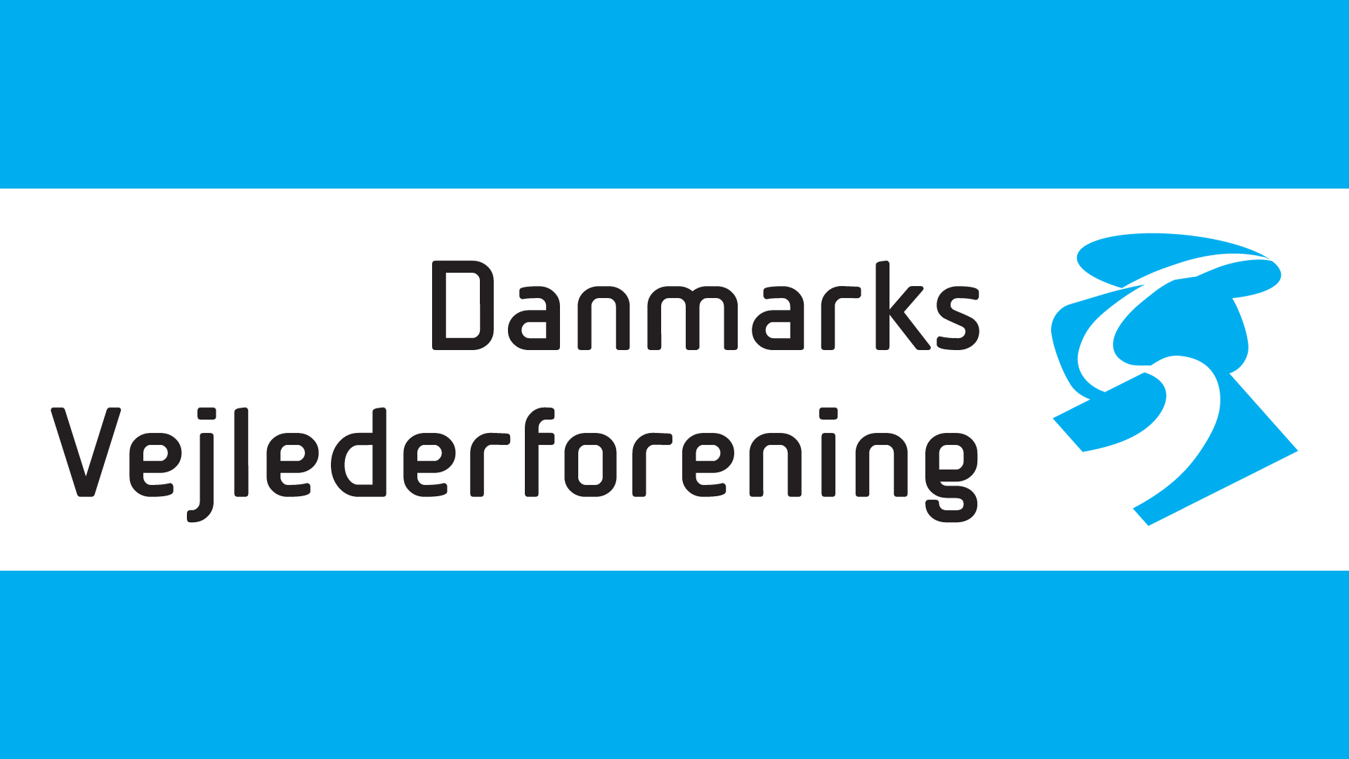 Logo Nyhedsbrev Danmarks Vejlederforening