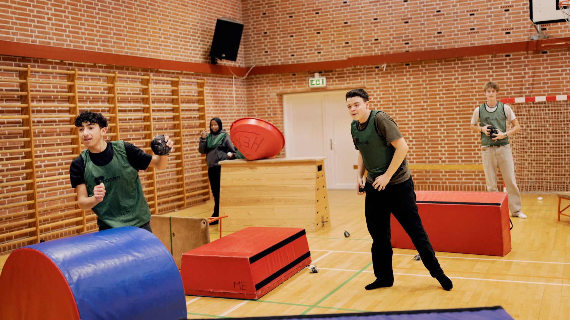 Integrationskoordinator 3